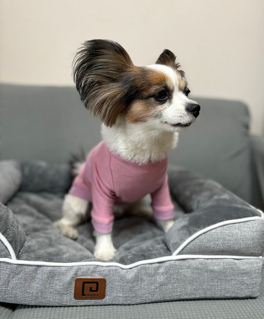 テンセル™繊維混【やさしさフィット】ウォッシャブルベア天竺_ラグランTシャツ 日本製 ※シーズン通年