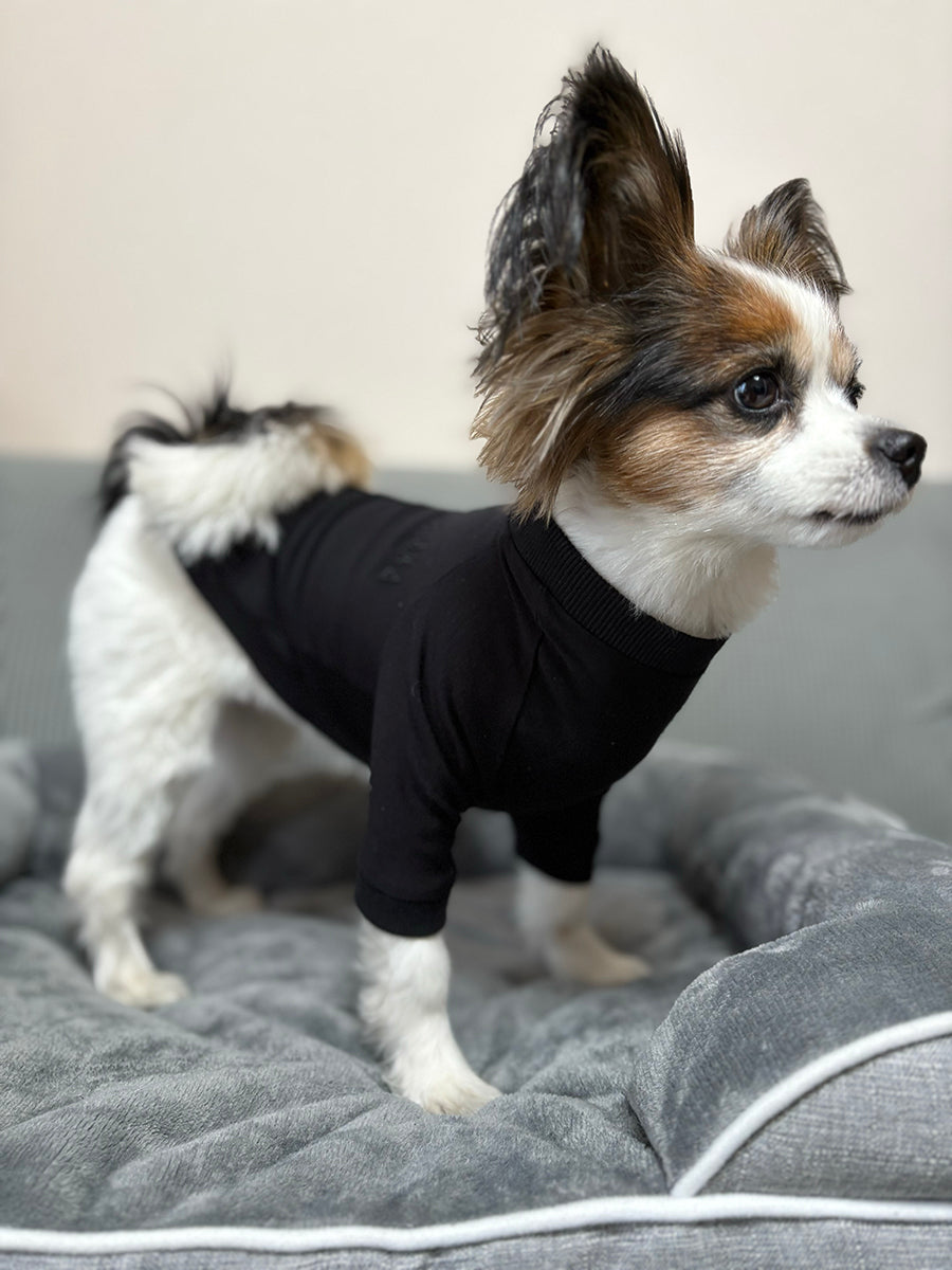 テンセル™繊維混【やさしさフィット】ウォッシャブルベア天竺_ラグランTシャツ 日本製 ※シーズン通年