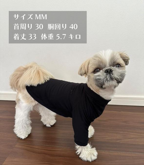 テンセル™繊維混【やさしさフィット_ボーダー】ウォッシャブルベア天竺_ラグランTシャツ 日本製 ※シーズン通年