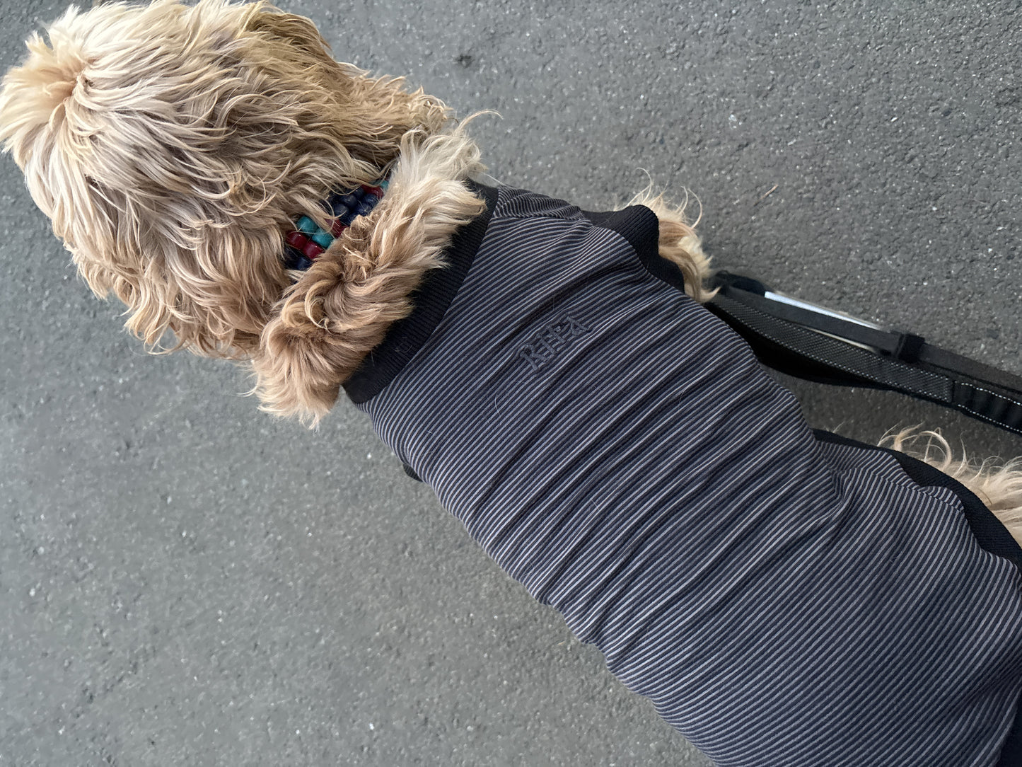 テンセル™繊維混【やさしさフィット】ウォッシャブルベア天竺_ノースリーブ 超ストレッチ 日本製 ※シーズン通年