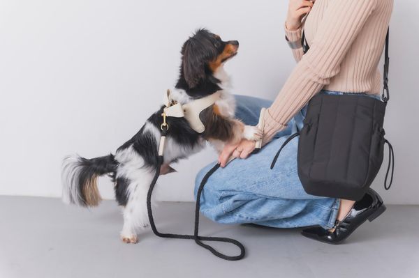 【D3】お散歩バッグ キルティングショルダー ブラック
