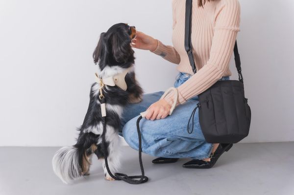 【D3】お散歩バッグ キルティングショルダー ブラック