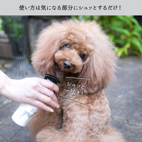 【D8】ペットの健康な皮膚をサポートする温泉水ミスト テルマリズムアクア
