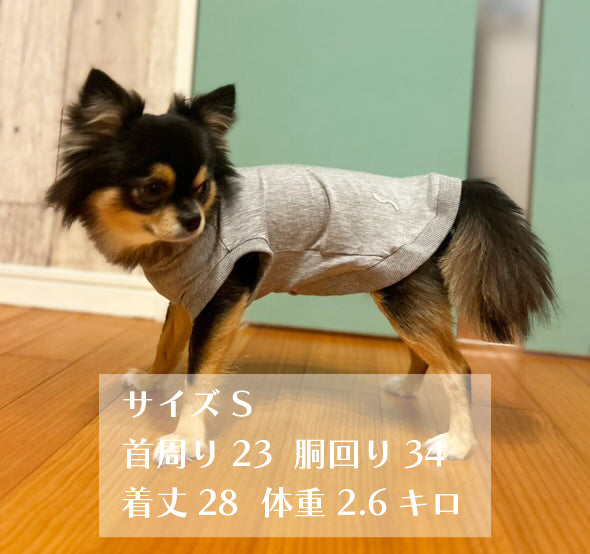 テンセル™繊維混【やさしさフィット_ボーダー】ウォッシャブルベア天竺_ラグランTシャツ 日本製 ※シーズン通年