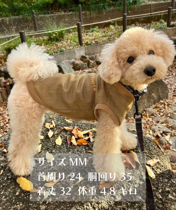 テンセル™繊維混【やさしさフィット_ボーダー】ウォッシャブルベア天竺_ラグランTシャツ 日本製 ※シーズン通年