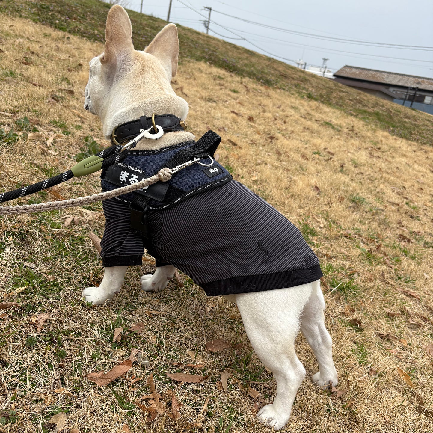 テンセル™繊維混【やさしさフィット_フレブル】ウォッシャブルベア天竺_ラグランTシャツ 日本製 ※シーズン通年