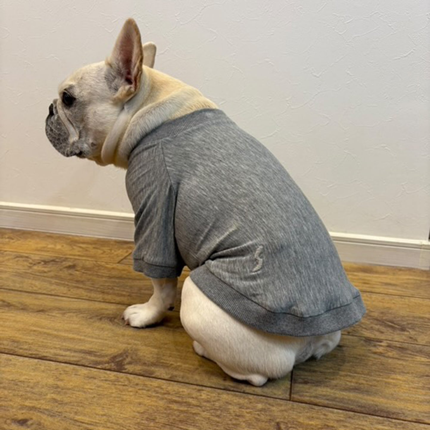 テンセル™繊維混【やさしさフィット_フレブル】ウォッシャブルベア天竺_ラグランTシャツ 日本製 ※シーズン通年