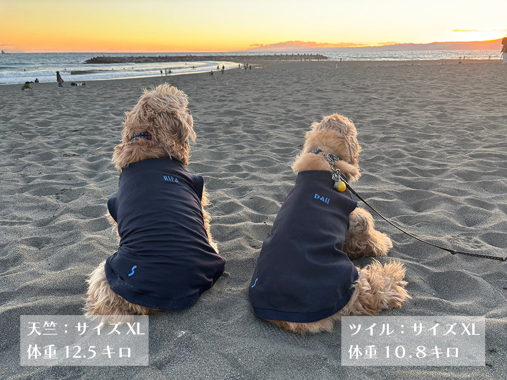 テンセル™繊維混【やさしさフィット】ウォッシャブルベア天竺_ラグランTシャツ  日本製　※シーズン通年