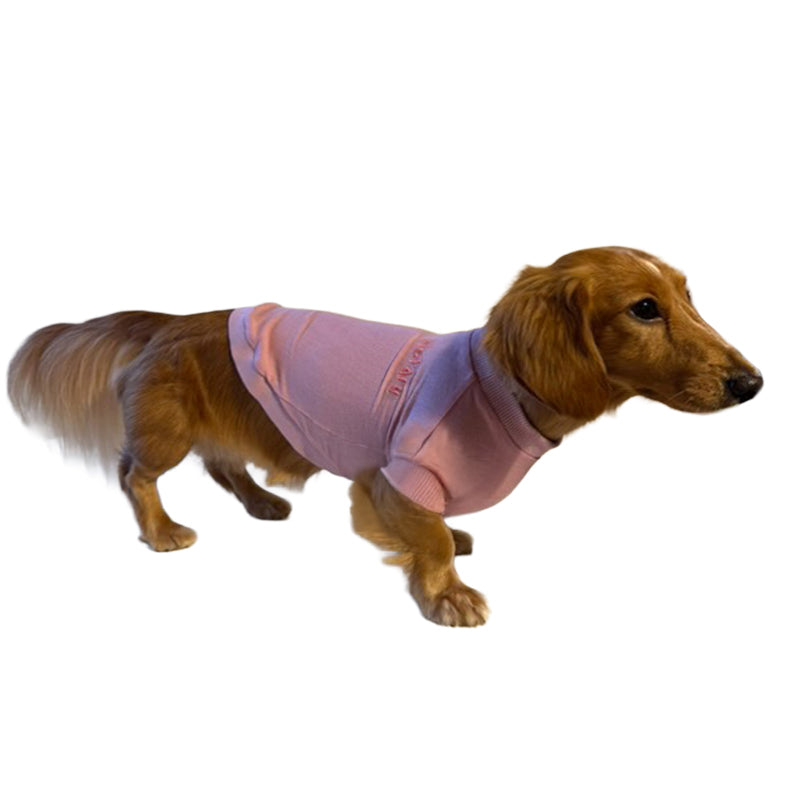 テンセル™繊維混【やさしさフィット_ダックス】ウォッシャブルベア天竺_ラグランT 　日本製　※シーズン通年