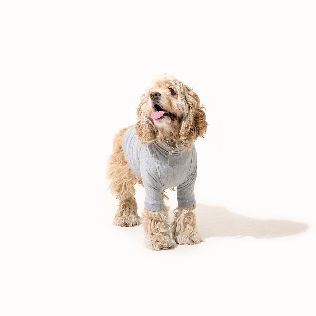 テンセル™繊維混【やさしさフィット】ウォッシャブルベア天竺_ラグランTシャツ  日本製　※シーズン通年