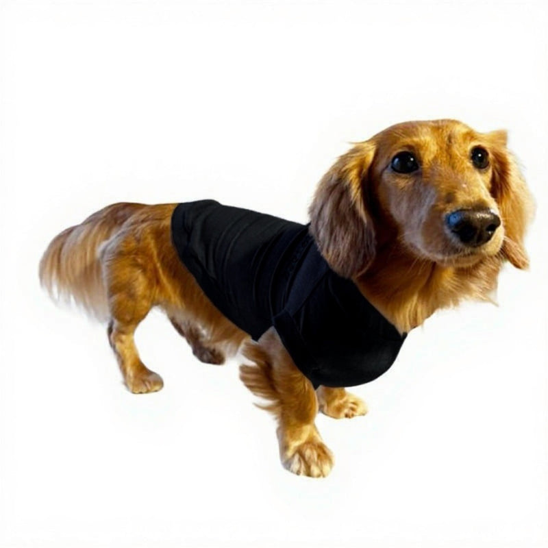 テンセル™繊維混【やさしさフィット_ダックス】ウォッシャブルベア天竺_ノースリーブ 　日本製　※シーズン通年