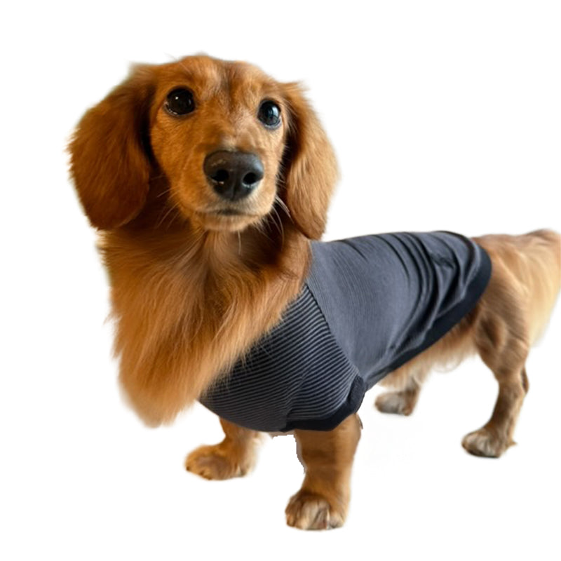 テンセル™繊維混【やさしさフィット_ダックス】ウォッシャブルベア天竺_ラグランT 　日本製　※シーズン通年