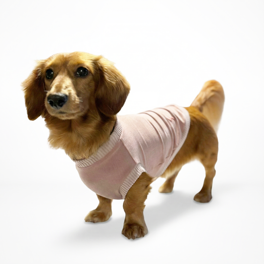 ラグジュアリーウォーム_ノースリーブ【吸湿発熱作用_ダックス】超ストレッチ　静電気防止　日本製　※シーズン11月〜3月