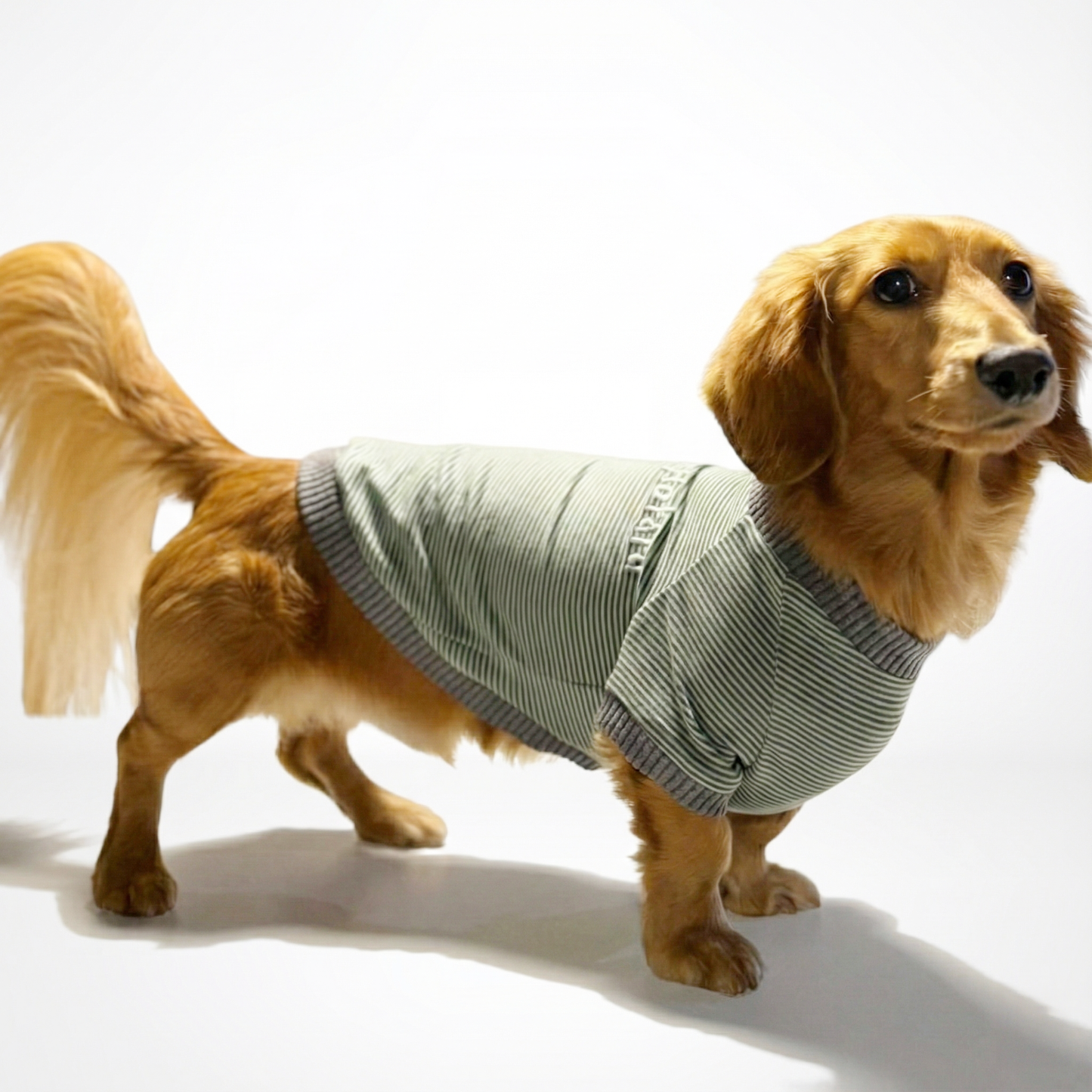 ラグジュアリーウォーム_ラグランT【吸湿発熱作用_ダックス】超ストレッチ　静電気防止　日本製　※シーズン11月〜3月