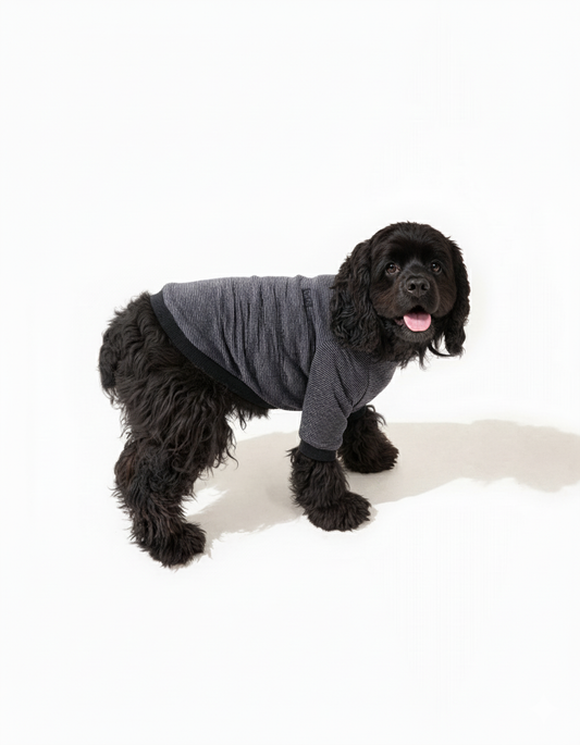 テンセル™繊維混【やさしさフィット】ウォッシャブルベア天竺_ラグランTシャツ  日本製　※シーズン通年