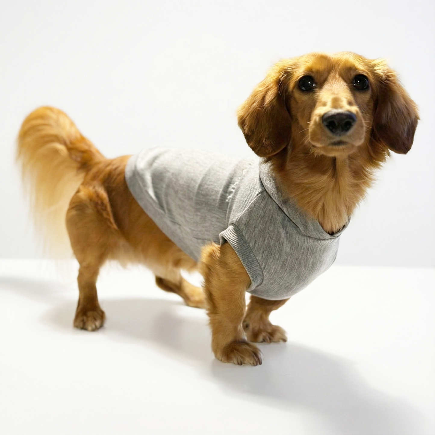 テンセル™繊維混【ストレッチパーカー_ダックス】  日本製　※シーズン11月〜3月