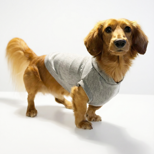 テンセル™繊維混【ストレッチパーカー_ダックス】  日本製　※シーズン11月〜3月