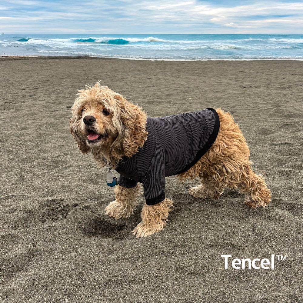 テンセル™繊維混【やさしさフィット】ウォッシャブルベア天竺_ラグランTシャツ  日本製　※シーズン通年