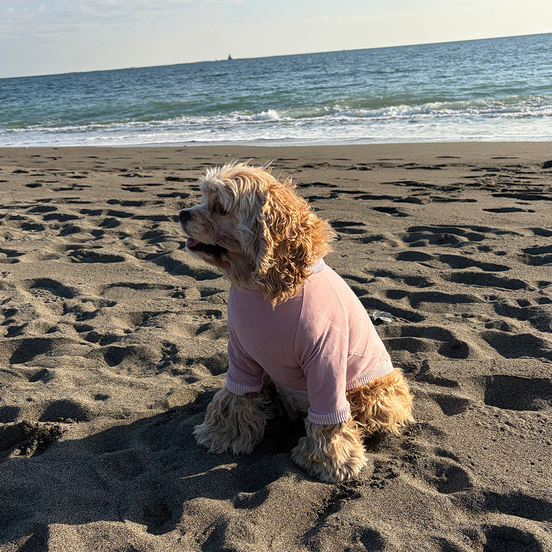 ラグジュアリーウォーム_ラグランT【吸湿発熱作用】超ストレッチ　静電気防止　日本製　※シーズン11月〜3月