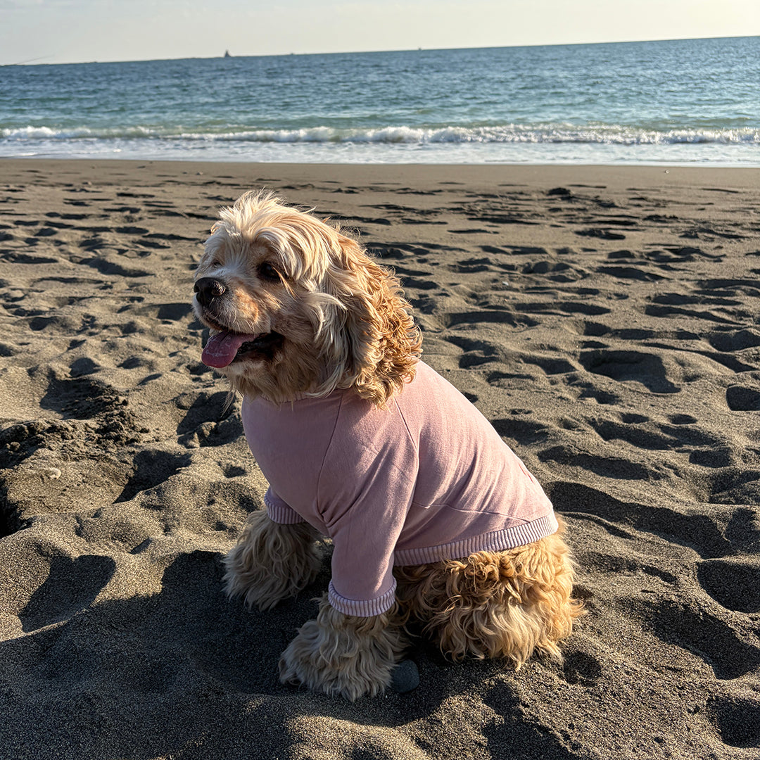 ラグジュアリーウォーム_ラグランT【吸湿発熱作用】超ストレッチ　静電気防止　日本製　※シーズン11月〜3月