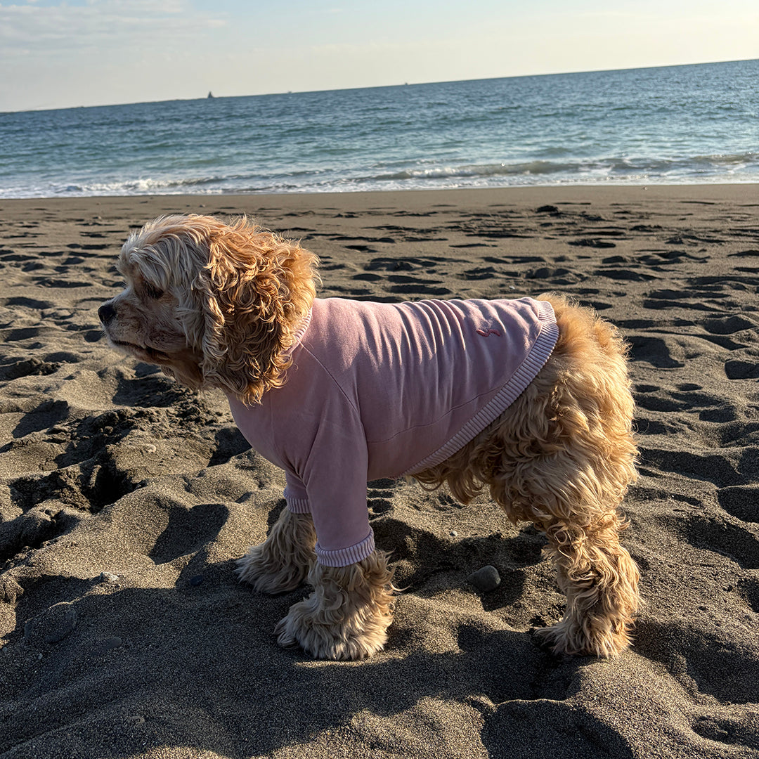 ラグジュアリーウォーム_ラグランT【吸湿発熱作用】超ストレッチ　静電気防止　日本製　※シーズン11月〜3月