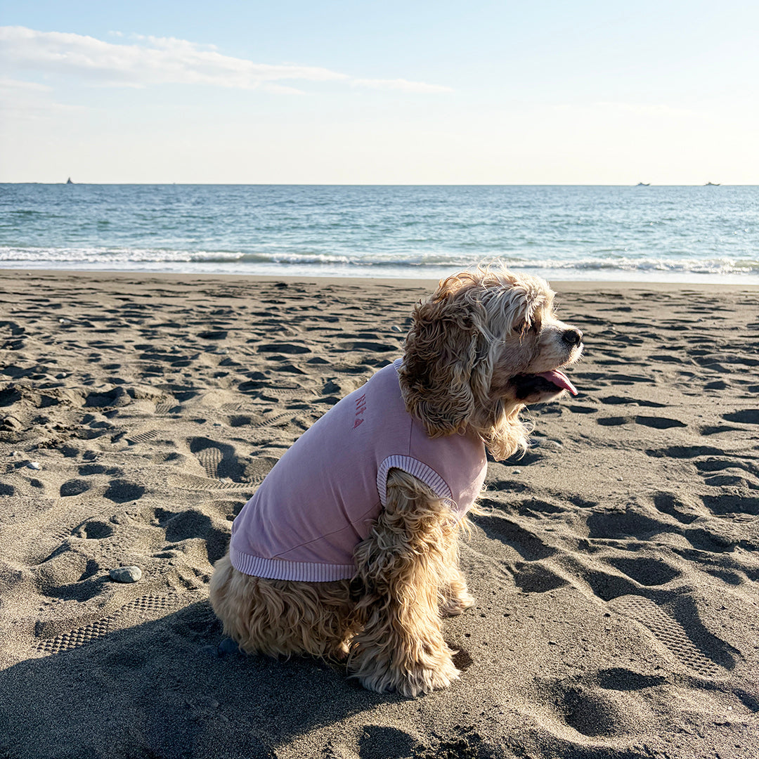 ラグジュアリーウォーム_ノースリーブ【吸湿発熱作用】超ストレッチ　静電気防止　日本製　※シーズン11月〜3月