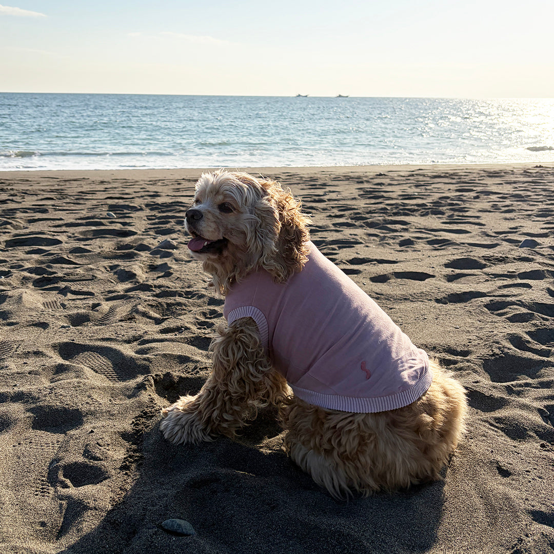 ラグジュアリーウォーム_ノースリーブ【吸湿発熱作用】超ストレッチ　静電気防止　日本製　※シーズン11月〜3月