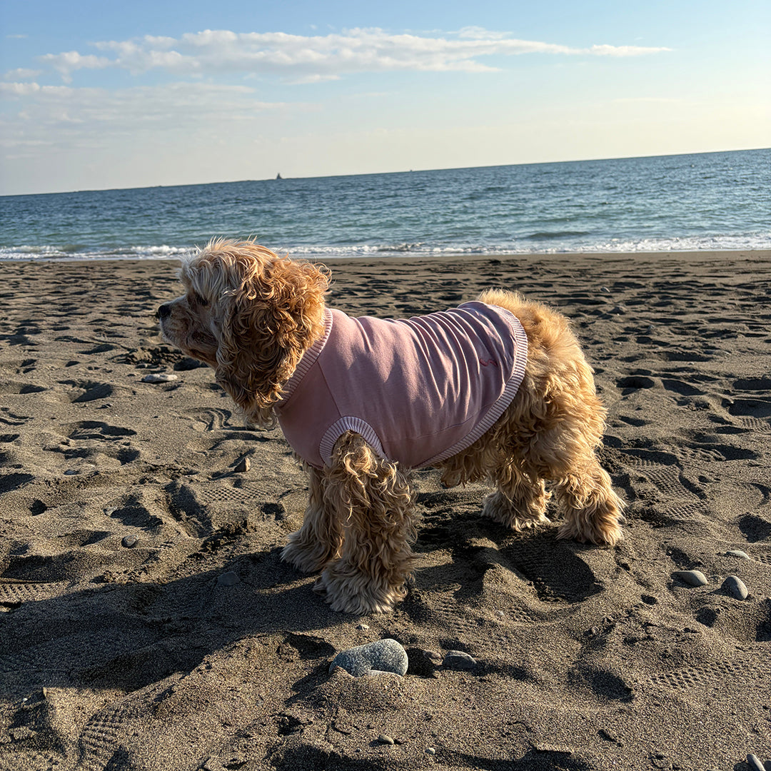 ラグジュアリーウォーム_ノースリーブ【吸湿発熱作用】超ストレッチ　静電気防止　日本製　※シーズン11月〜3月