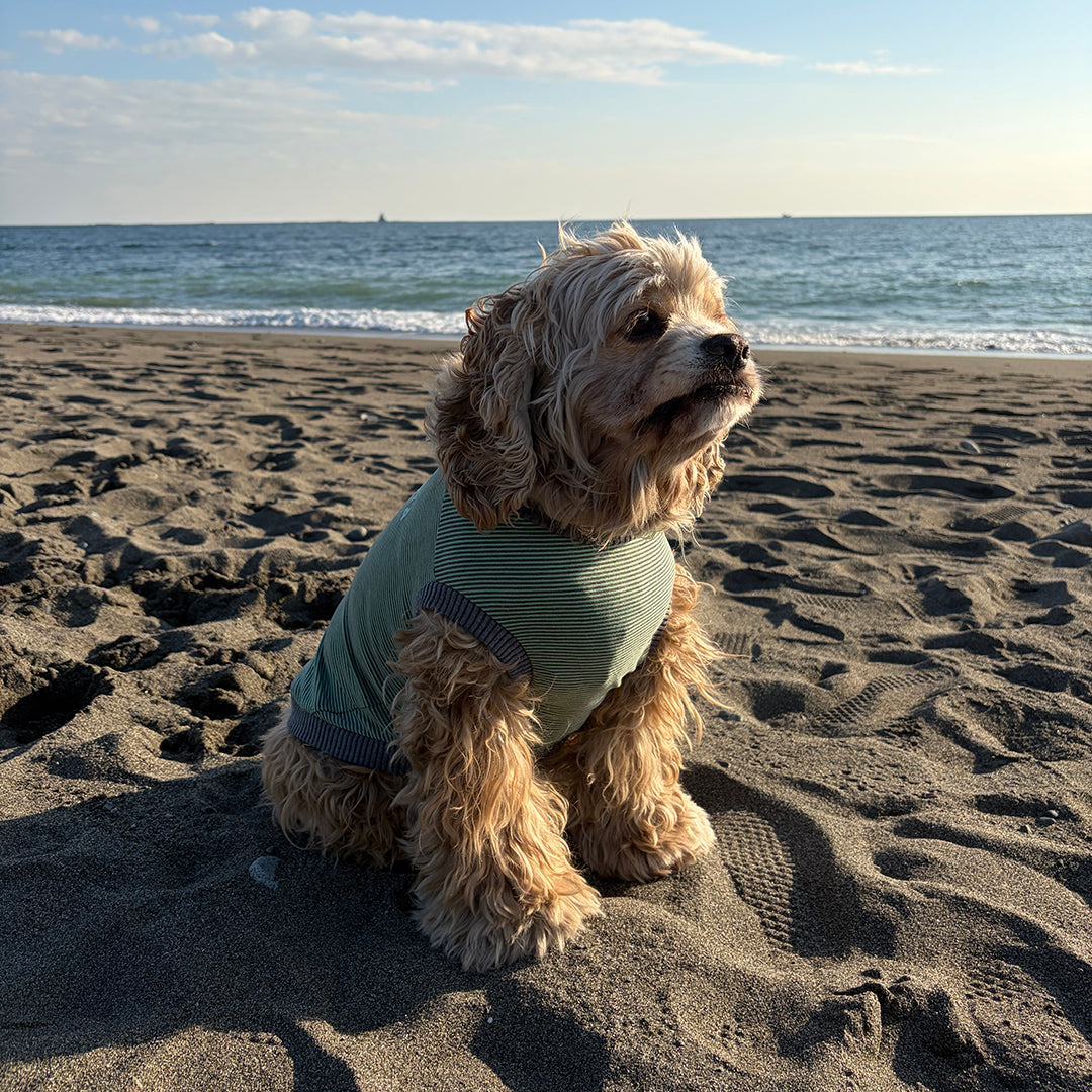 ラグジュアリーウォーム_ノースリーブ【吸湿発熱作用】超ストレッチ　静電気防止　日本製　※シーズン11月〜3月