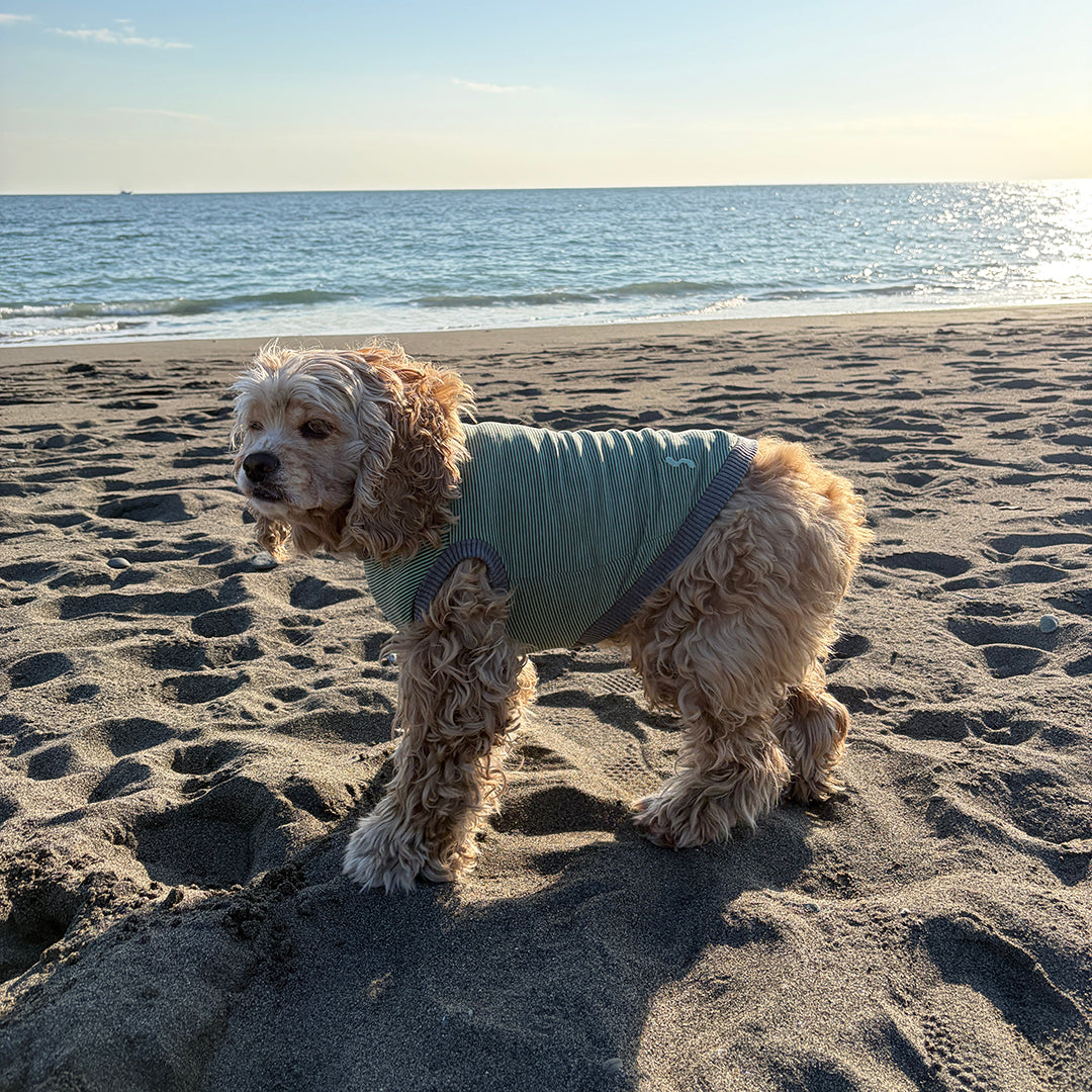 ラグジュアリーウォーム_ノースリーブ【吸湿発熱作用】超ストレッチ　静電気防止　日本製　※シーズン11月〜3月