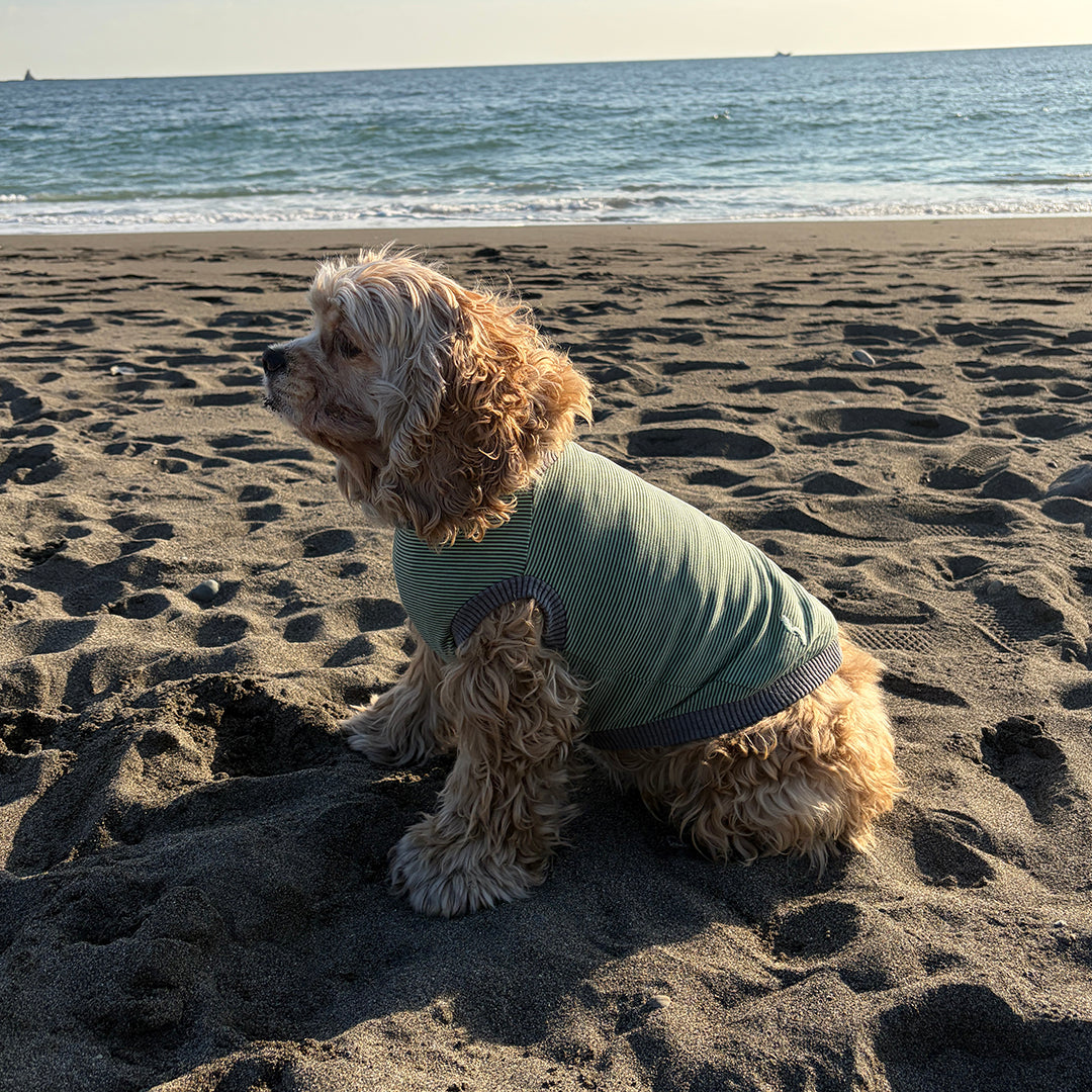 ラグジュアリーウォーム_ノースリーブ【吸湿発熱作用】超ストレッチ　静電気防止　日本製　※シーズン11月〜3月