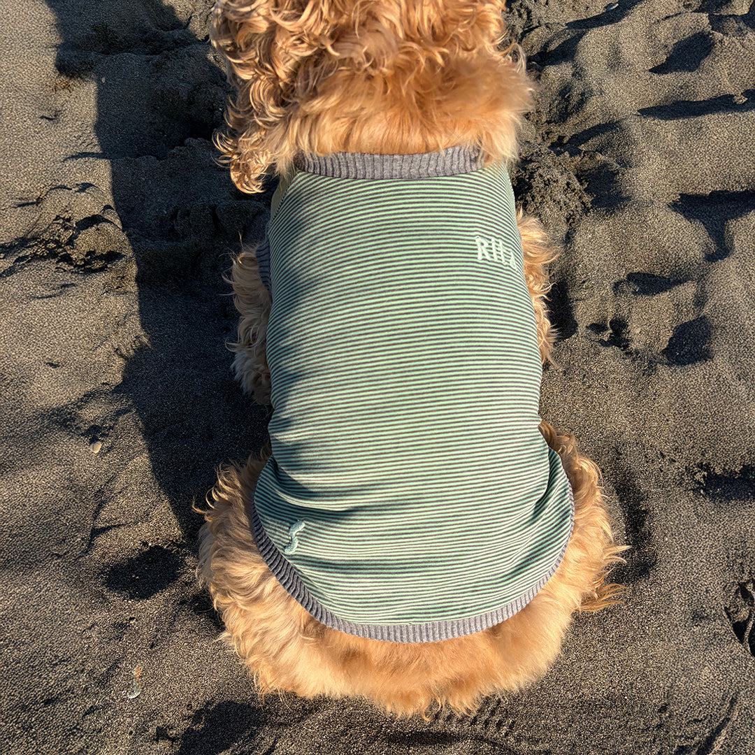 ラグジュアリーウォーム_ノースリーブ【吸湿発熱作用】超ストレッチ　静電気防止　日本製　※シーズン11月〜3月