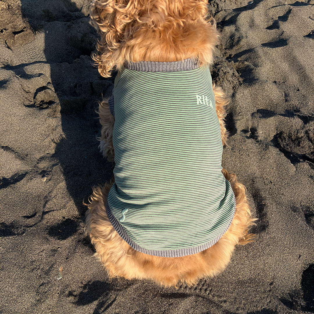 ラグジュアリーウォーム_ラグランT【吸湿発熱作用】超ストレッチ　静電気防止　日本製　※シーズン11月〜3月