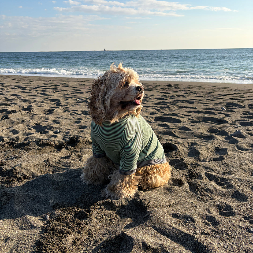 ラグジュアリーウォーム_ラグランT【吸湿発熱作用】超ストレッチ　静電気防止　日本製　※シーズン11月〜3月