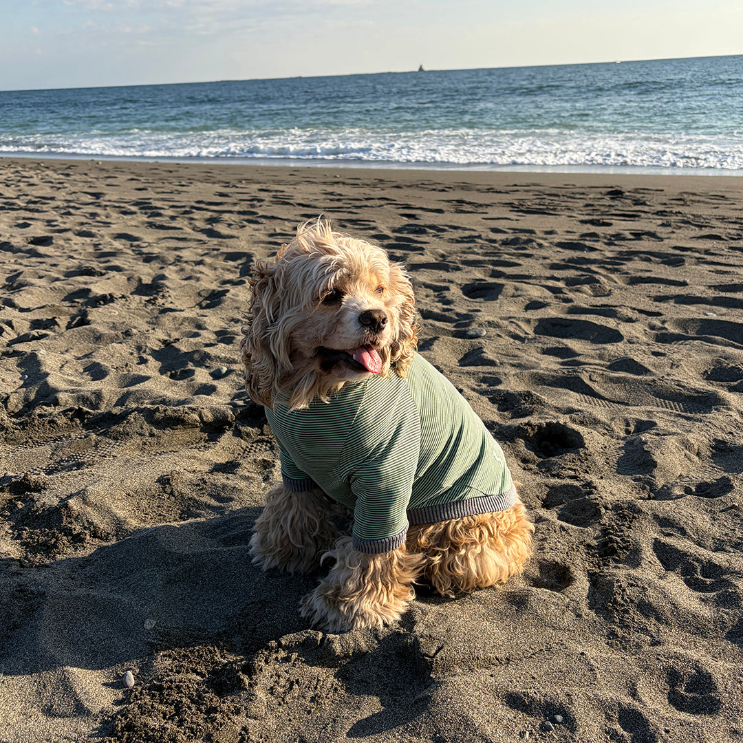 ラグジュアリーウォーム_ラグランT【吸湿発熱作用】超ストレッチ　静電気防止　日本製　※シーズン11月〜3月