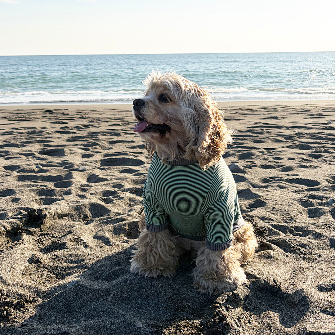 ラグジュアリーウォーム_ラグランT【吸湿発熱作用】超ストレッチ　静電気防止　日本製　※シーズン11月〜3月