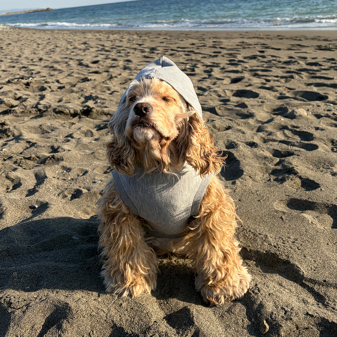 テンセル™繊維混【ストレッチパーカー】  日本製　※シーズン11月〜3月