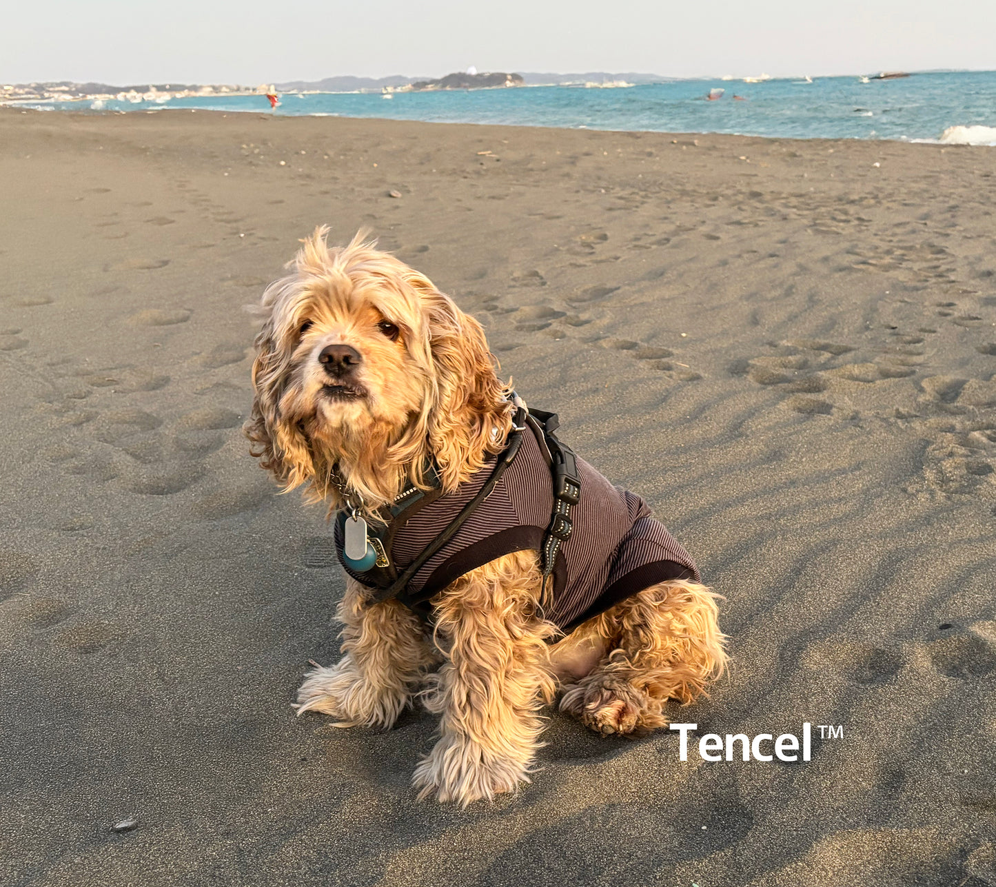 テンセル™繊維混【やさしさフィット】ウォッシャブルベア天竺_ノースリーブ  超ストレッチ　日本製　※シーズン通年