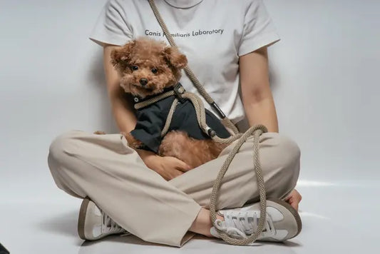 【D11】ラクラク着用！ワンちゃんに優しいオールインワンハーネス