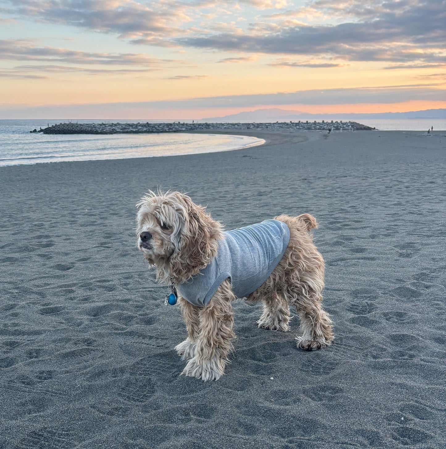 テンセル™繊維混【やさしさフィット】ウォッシャブルベア天竺_ノースリーブ  超ストレッチ　日本製　※シーズン通年