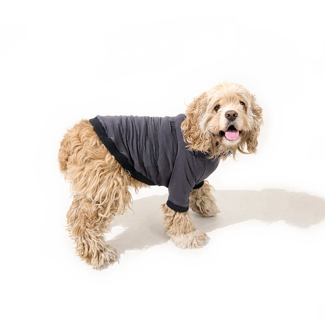 テンセル™繊維混【やさしさフィット】ウォッシャブルベア天竺_ラグランTシャツ  日本製　※シーズン通年