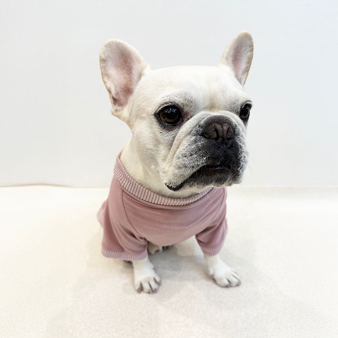 ラグジュアリーウォーム_ラグランT【吸湿発熱作用_フレブル】超ストレッチ　静電気防止　日本製　※シーズン11月〜3月