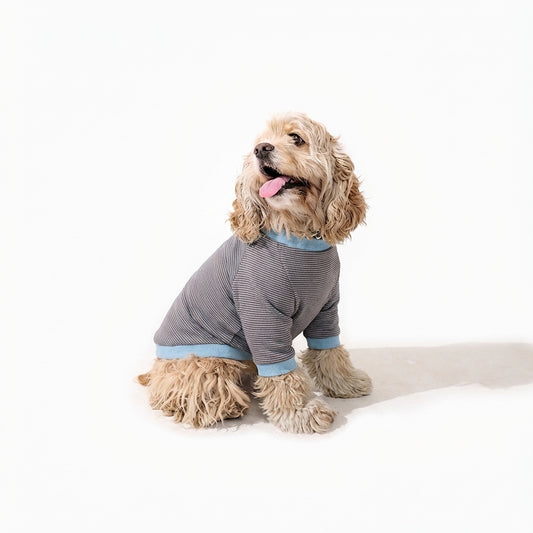 テンセル™繊維混【やさしさフィット】ウォッシャブルベア天竺_ラグランTシャツ  日本製　※シーズン通年