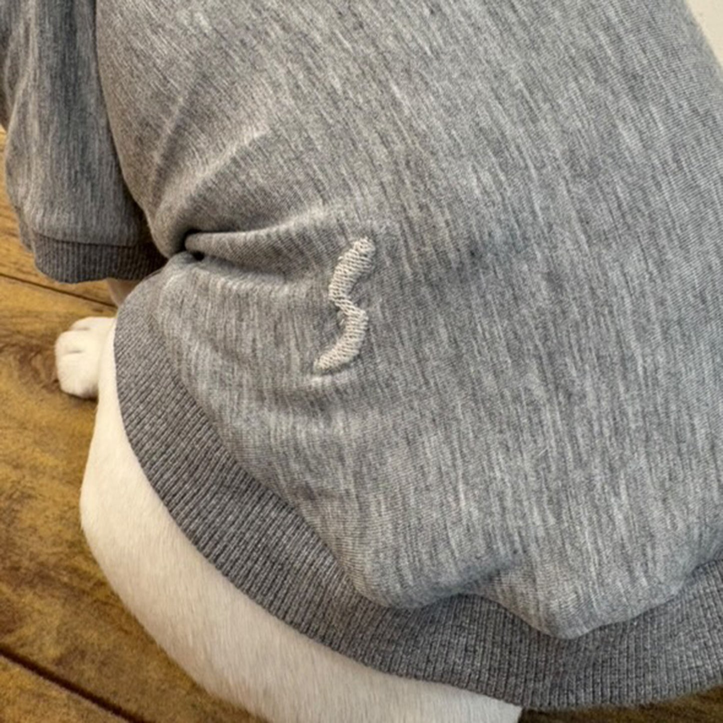 テンセル™繊維混【やさしさフィット_フレブル】ウォッシャブルベア天竺_ラグランTシャツ  日本製　※シーズン通年